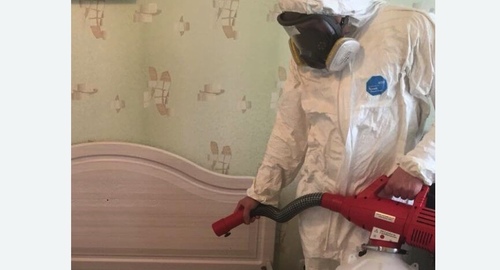 Уничтожение клещей в квартире. Площадь Ильича